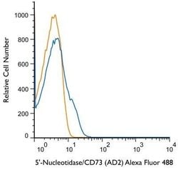 5'-Nucleotidase/CD73 Antibody (AD2) - Azide and BSA Free, Novus Biologicals 0.1 mL | Buy Online | Novus Biologicals | Fisher Scientific